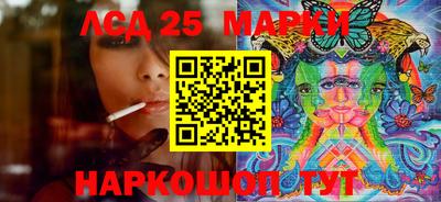 стаф Майкоп