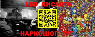 гашик Аргун