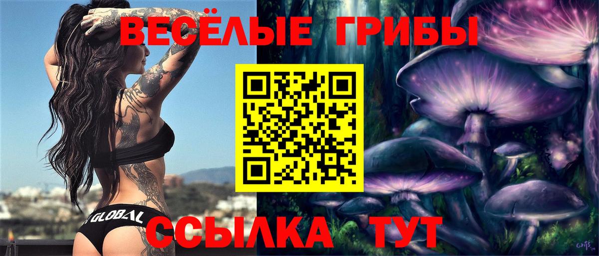 Псилоцибиновые грибы мицелий Всеволожск