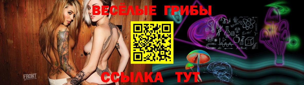 Всеволожск  Галлюциногенные грибы Cubensis  Вход с VPN  Псилоцибиновые грибы MAGIC MUSHROOMS 
